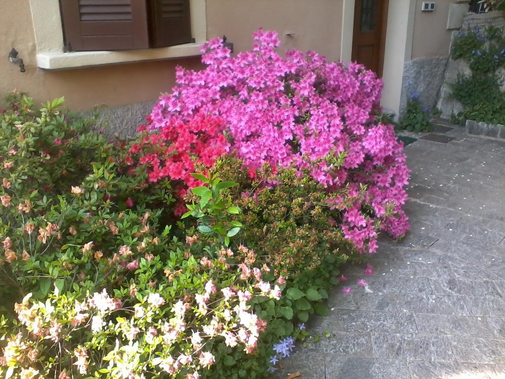 Casa Margherita Como Exterior photo